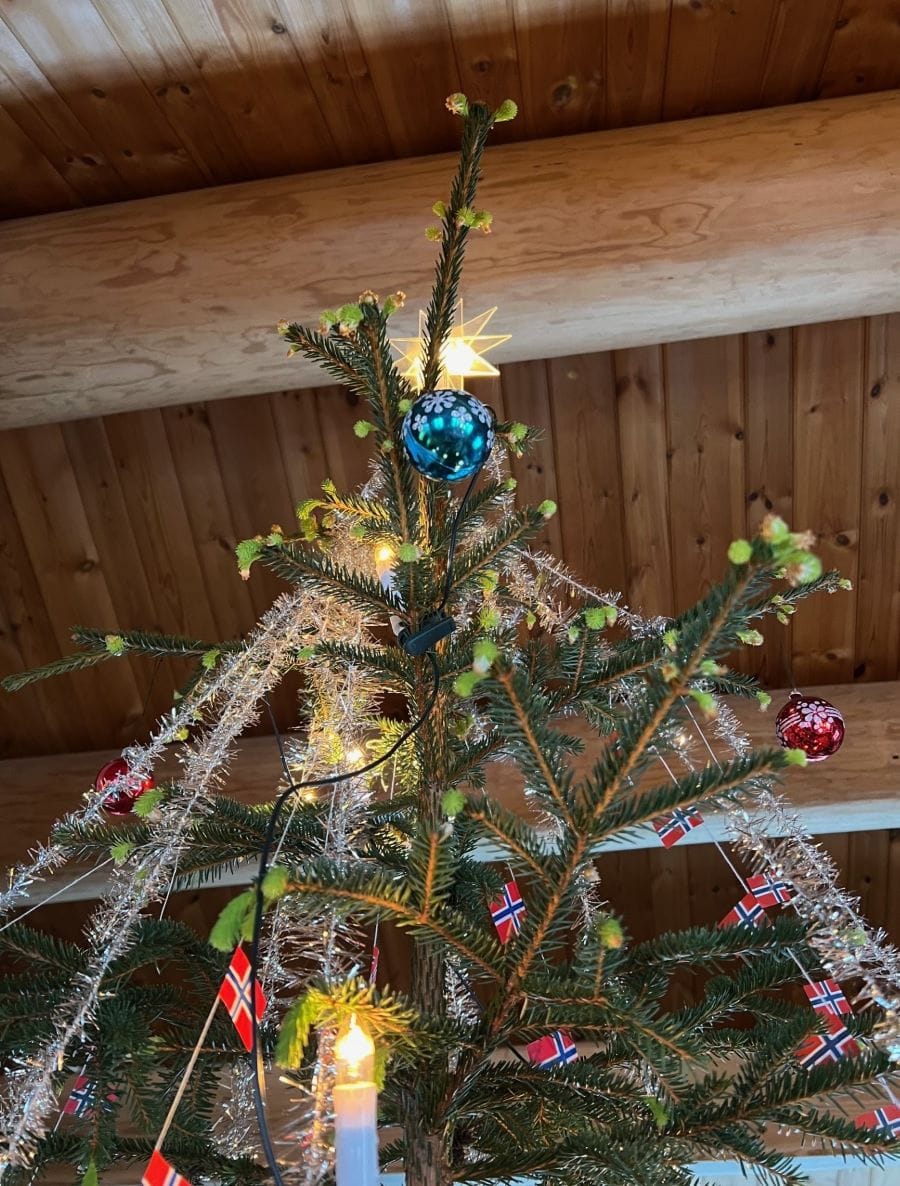 20. dag jul, image size:900x1186