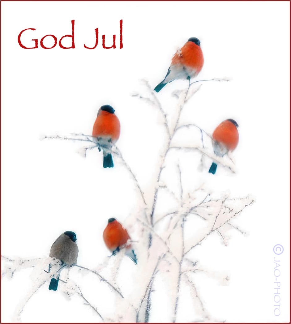 Sollia.net ønsker alle en god jul