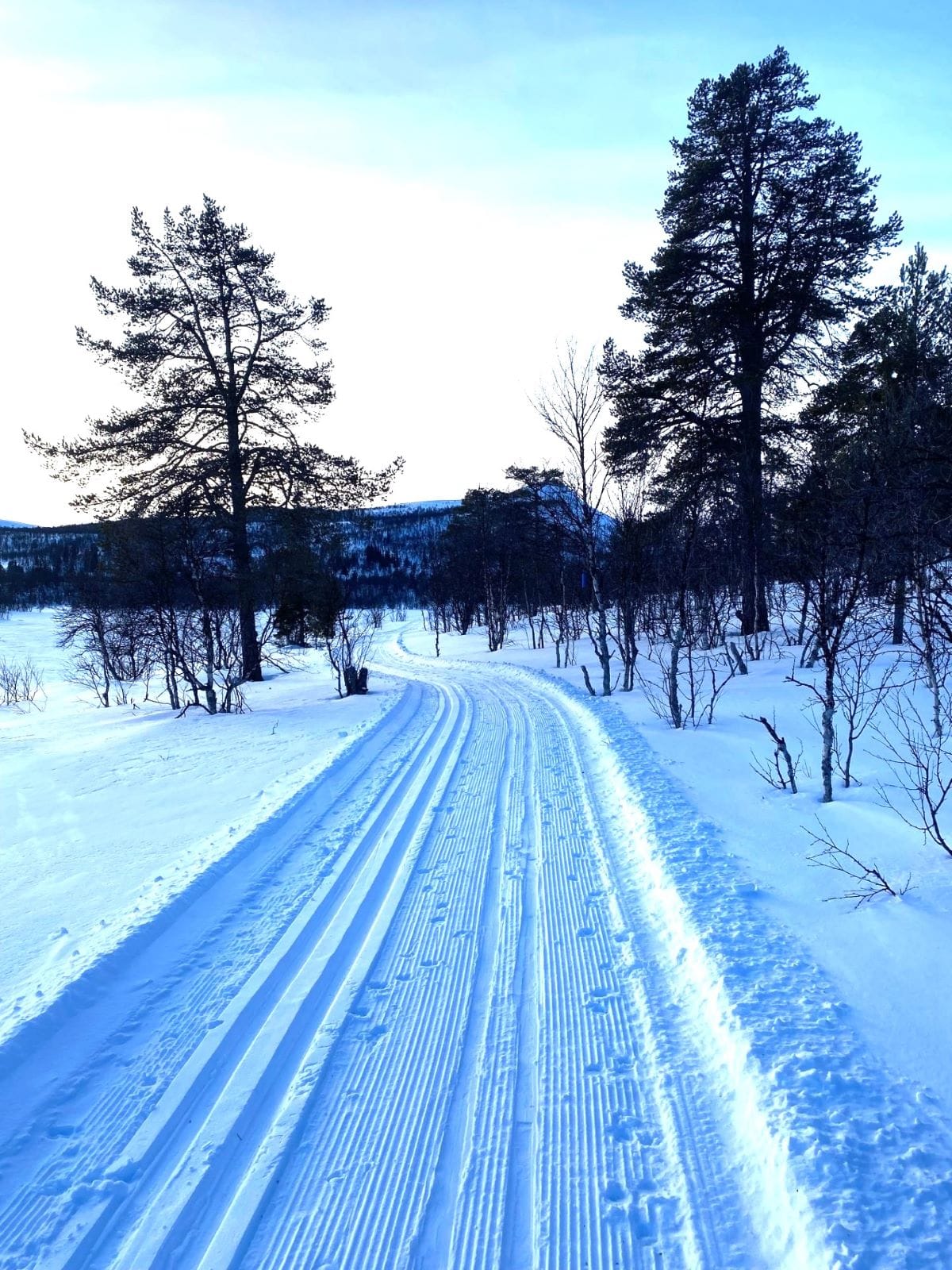 Skiløyper onsdag 6. mars
