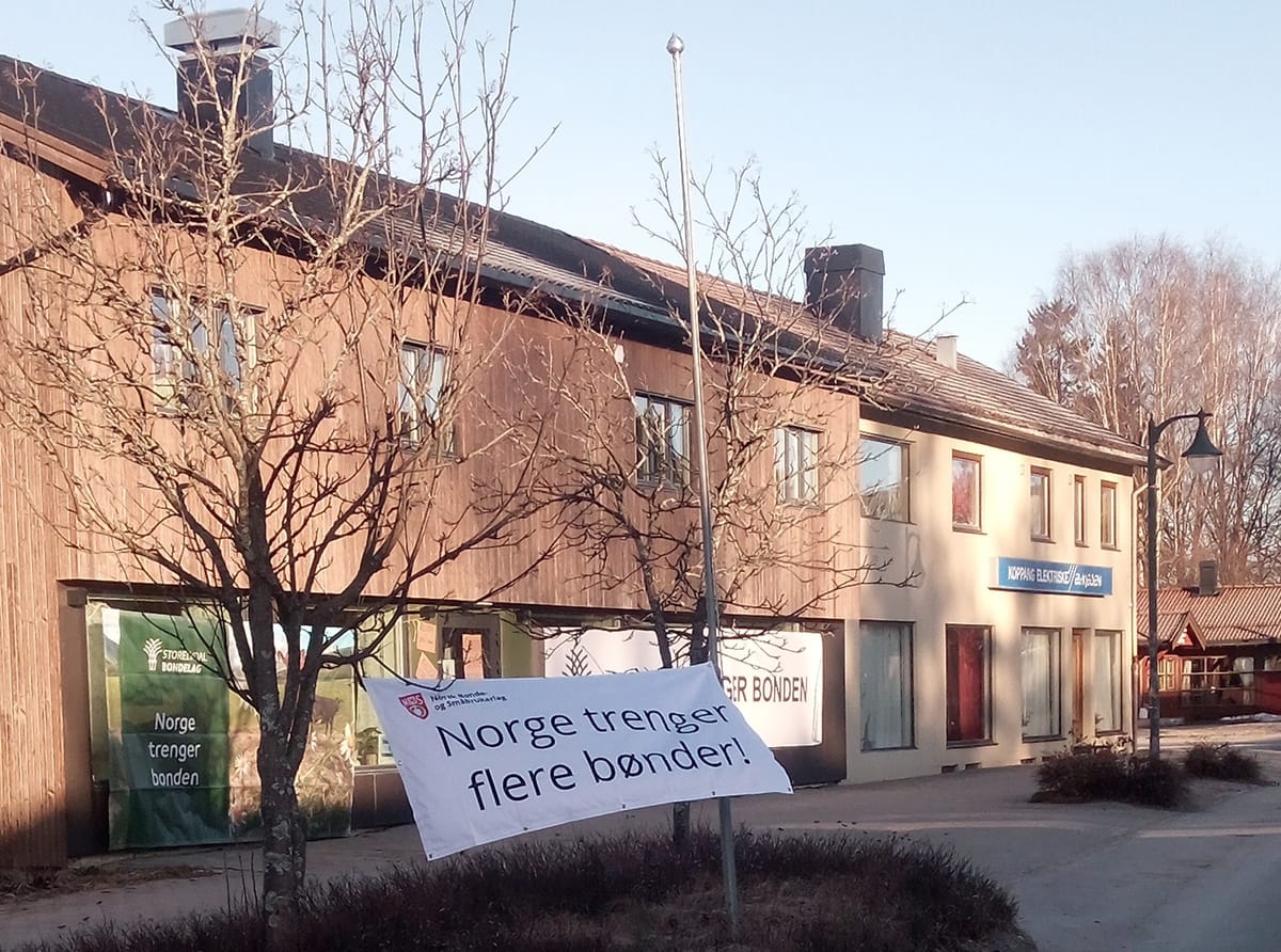 Bøndene demonstrerte på Koppang