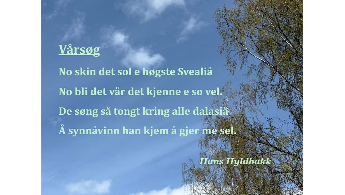 Maidikt