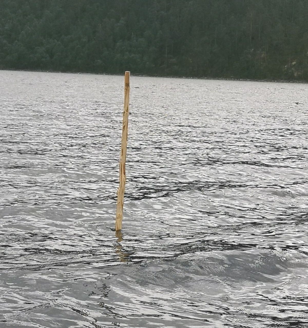 Røestæka