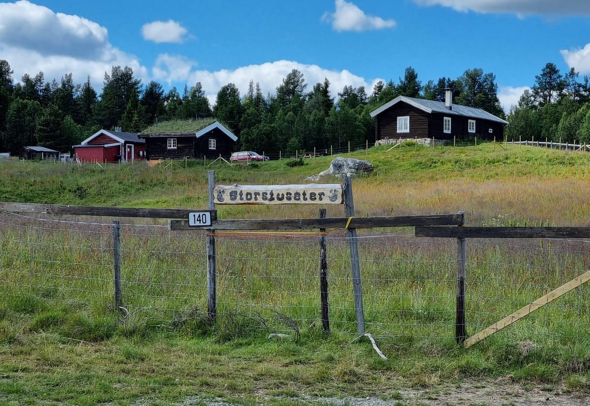 På seterbesøk (2 av 2)