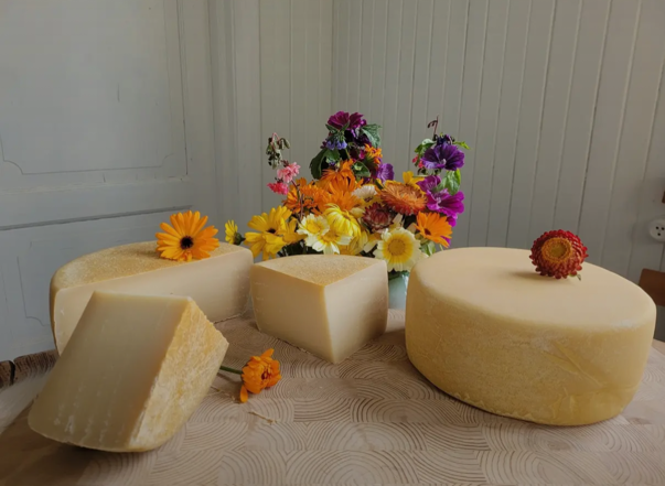 NM i Ost - Sølv til Sollia Ysteri AS