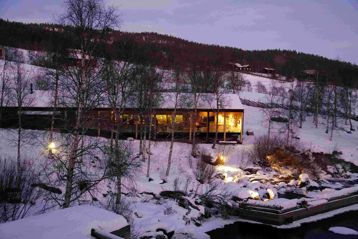 Bli kjent med utstillerne til Vinterutstillingen i Fossehuset