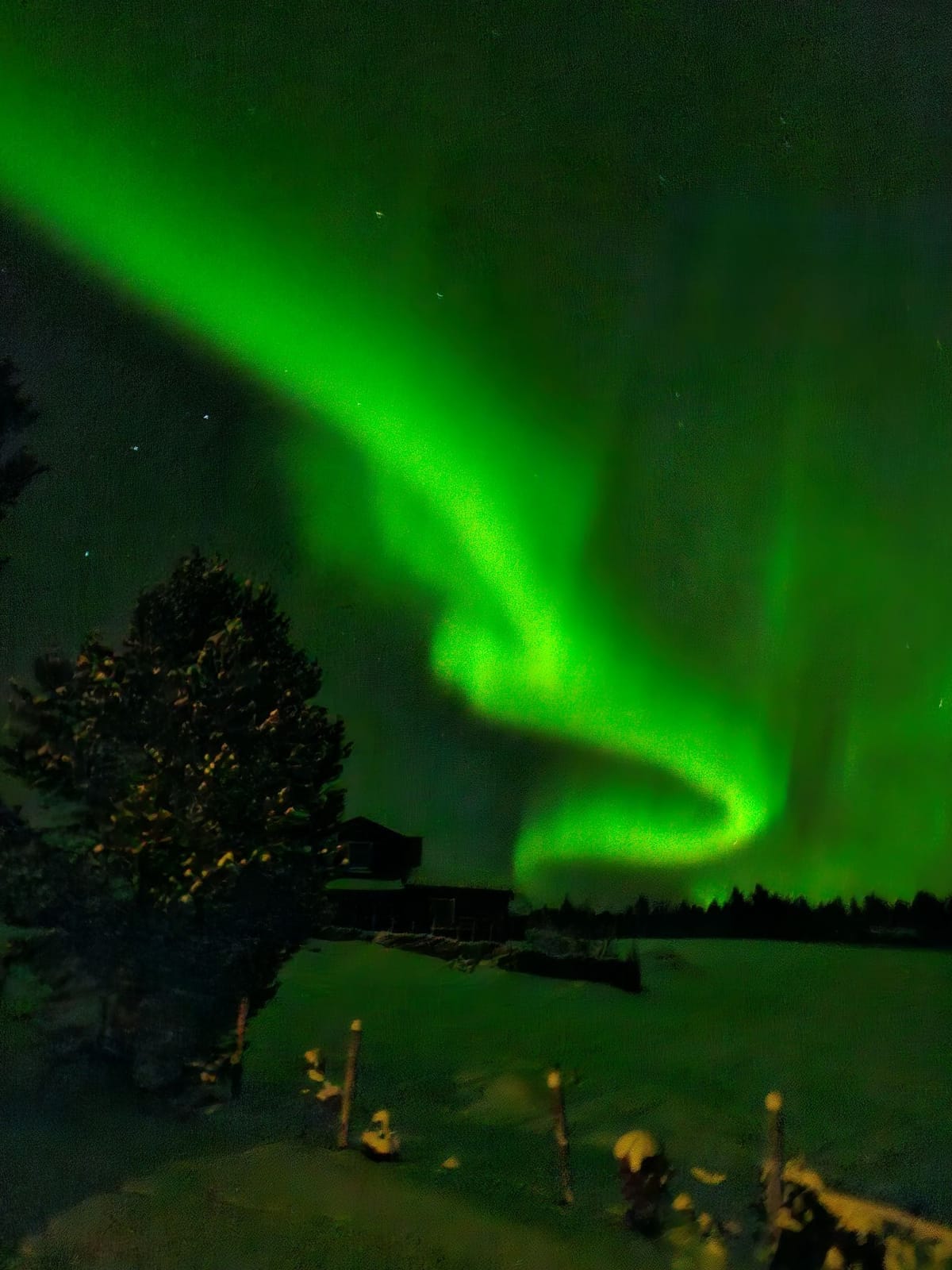 Nordlys ved Sjølisetra
