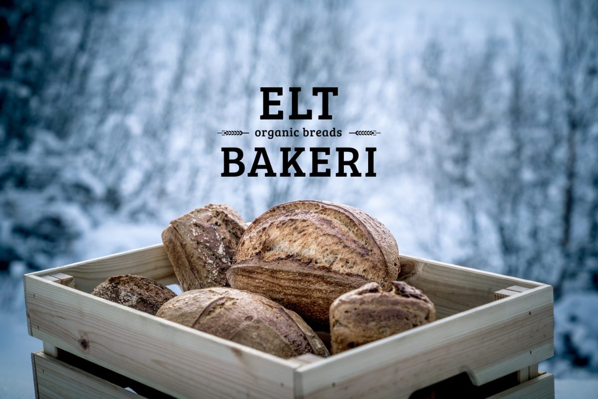 Surdeigskurs 11. og 12. april