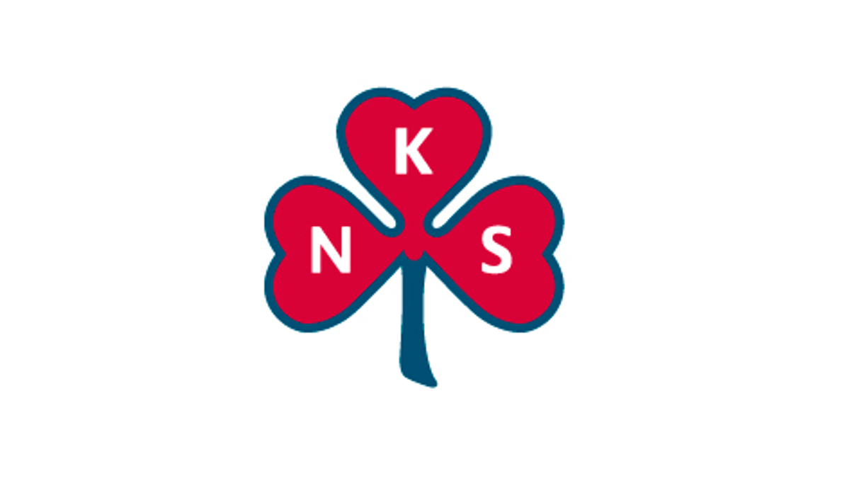 Årsmøte i Sanitetsforeninga