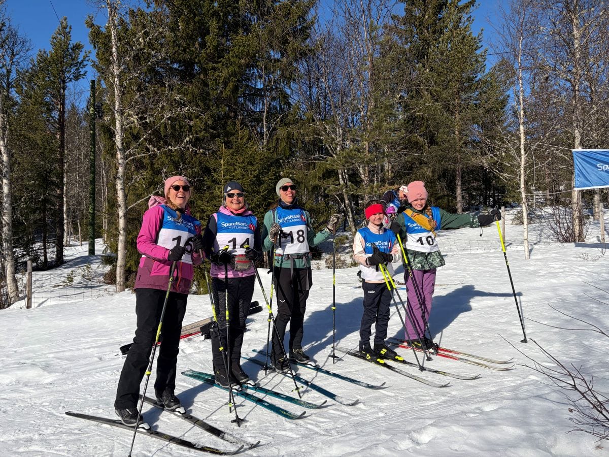 Bjørkebollrennet 2026