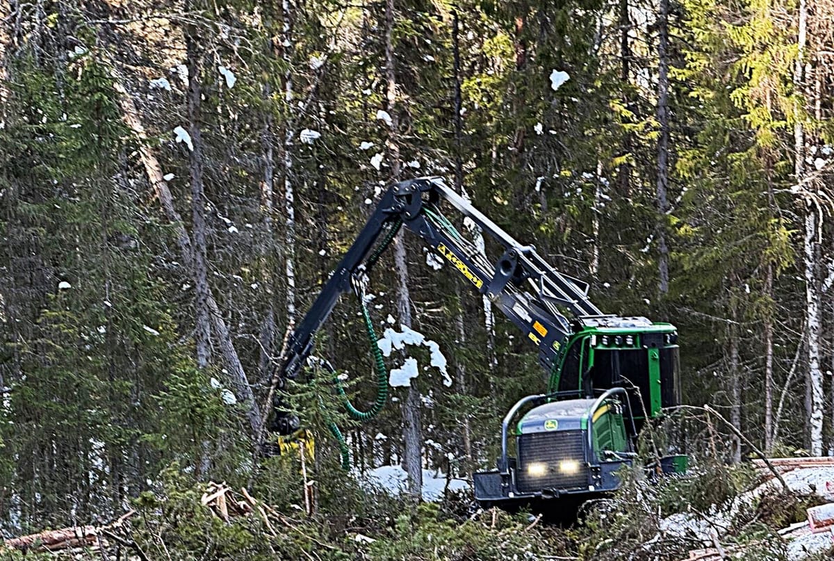Fine driftsforhold i skogen