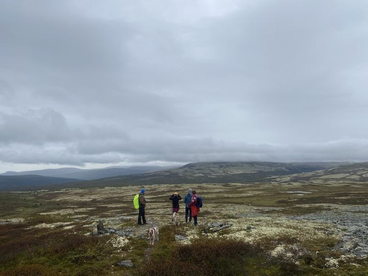 Lang turlagstur til Vuludalen