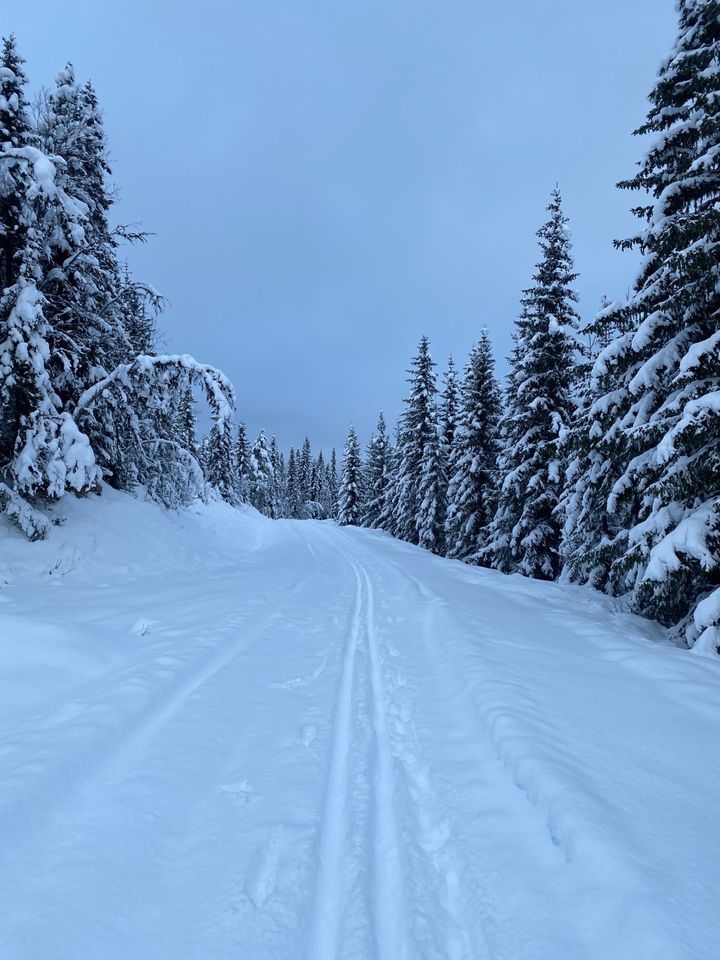 Silkeføre