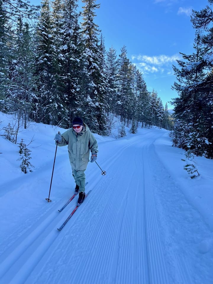 Ut på ski