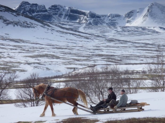 Frå arkivet - Måsåtaking i Folldalsfjella med Ola Blæsterdalen