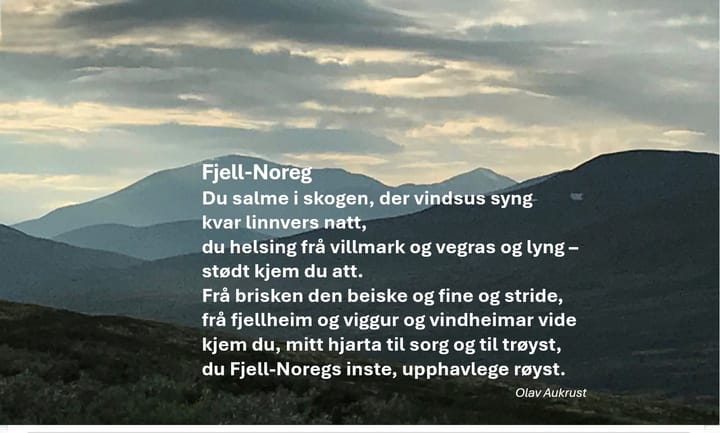 Julidikt