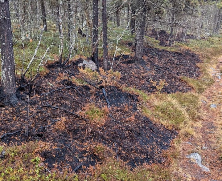 Mystikk ved Finnsjøen