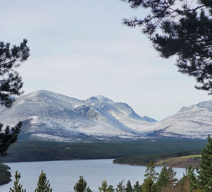 Det skjer litt av hvert