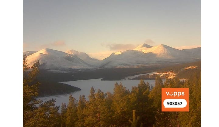 Sollia.net feirer 25 år